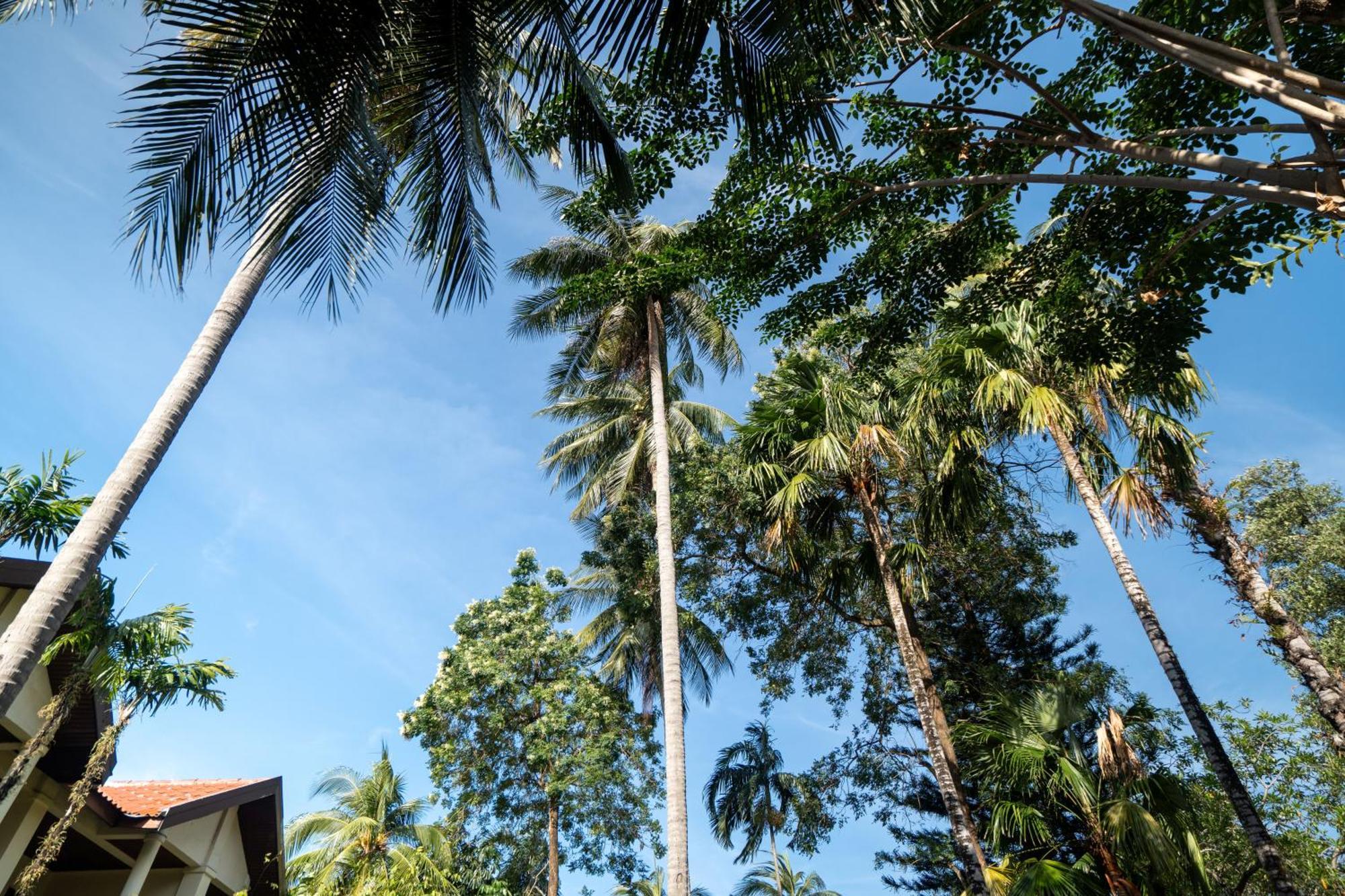 Phuket Leelavadee Hua Ting Resort Patong Екстериор снимка